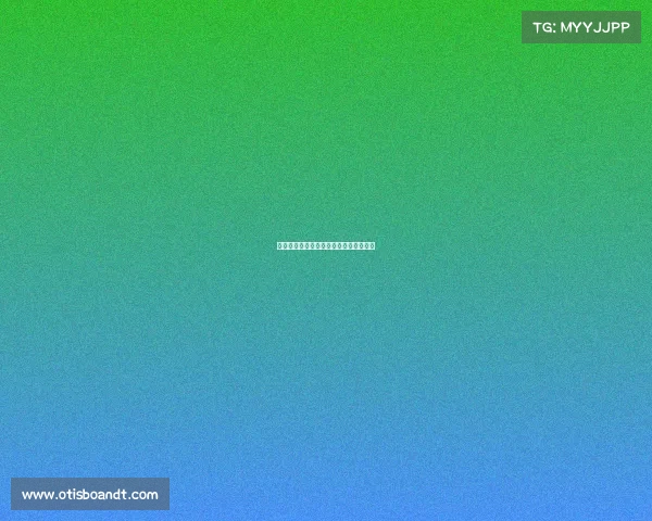 一龙早期民间赛事一龙打的比赛属于什么