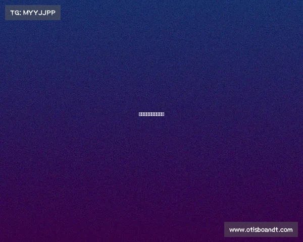 新加坡玩家对战冠军赛