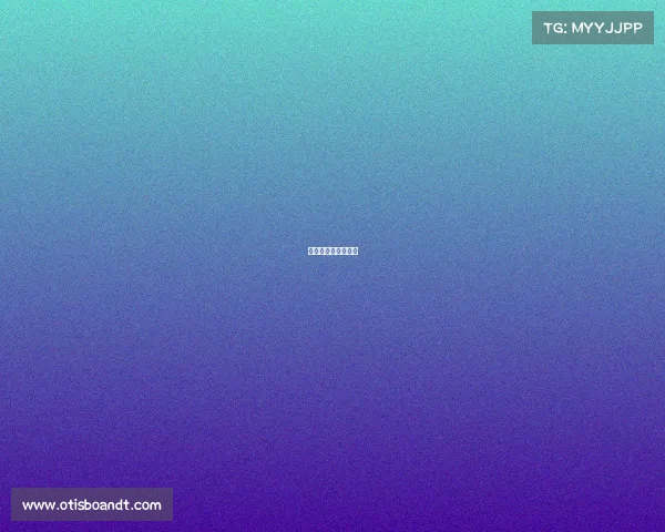 法国篮球赛事有哪些